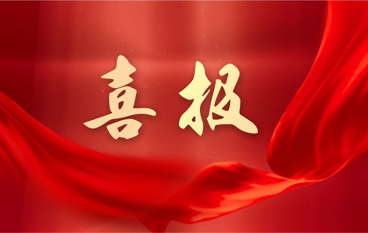 營收凈利雙增長！依頓電子2025年一季度經(jīng)營業(yè)績續(xù)寫高質(zhì)量發(fā)展華章